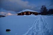 Con le ciaspole in una notte di luna piena e polenta in rifugio