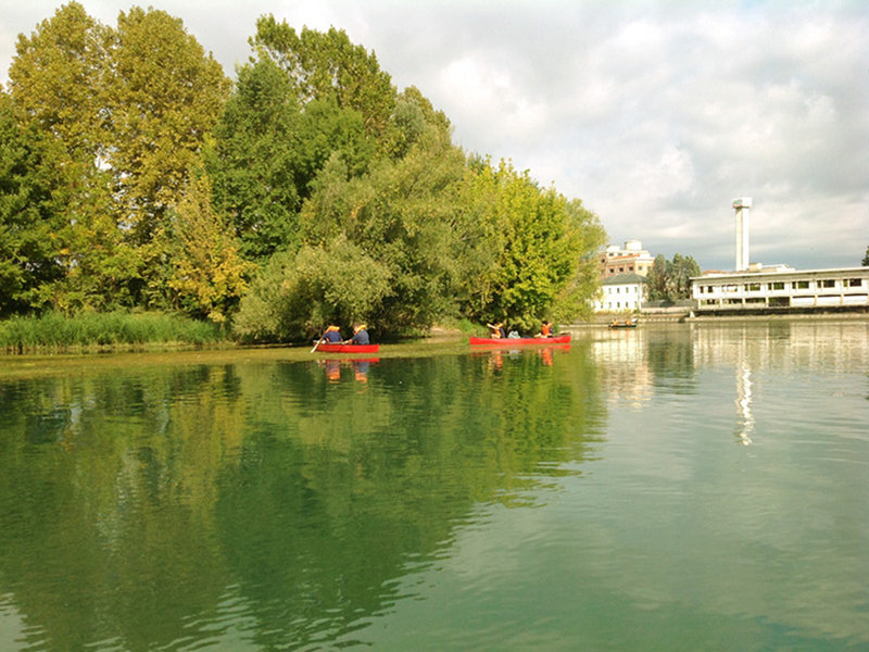 Parco Naturale Del Fiume Sile Novit Grazie Del Parco Del Sile Ai