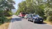 Parco Circeo, bruciano rifiuti e cespugli: incendio subito domato