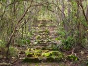 Le eccellenze del Parco del Circeo al TTG di Rimini