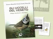 Gli Uccelli del Veneto. Biologia, distribuzione e abbondanza