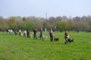 Cani nel verde: la foto migliore verrà premiata