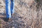 Passeggiare domattina nel parco delle Groane farà doppiamente bene