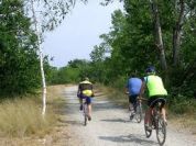 Vigevano e Abbiategrasso: da stazione a stazione sulla pista ciclopedonale