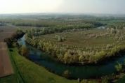 Ricomporre con gli alberi l'antico paesaggio lodigiano