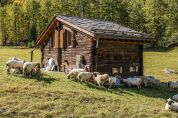 Aspettando la ripartenza mezzo milione di risorse per l'agricoltura d'autore