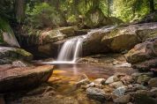 Parco del Seveso, un nuovo progetto per tutelare le acque del fiume