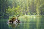 In arrivo il Parco del Seveso