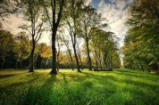 Via i rifiuti, finalmente nasce il parco