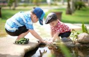 Gli alunni giardinieri piantano i tulipani al parco Sigurtà