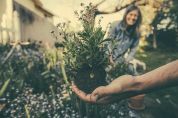 «Piantiamola!»: così nascerà un polmone verde