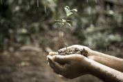 Campo dei Fiori, una startup del verde