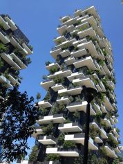 Bosco verticale di periferia: si parte