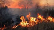  Fiamme nel Parco dell'Oglio Nord: un ettaro in fumo