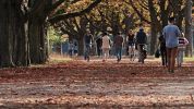 Nuovi boschi, piste e filari di alberi nel futuro del parco della Balossa