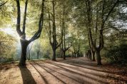 Parco Nord al top fra Biodiversità e mostra green