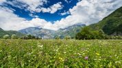 Cambio del clima, si valuta l'impatto sull'agricoltura della Valtellina