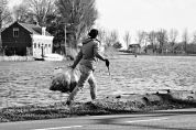 Bresso, volontari in azione per pulire il Seveso