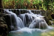 L'acqua sgorga limpida dal terreno e svela la 'magia' delle risorgive