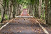 A piedi o in bici, scoprire il territorio