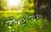 «Giornata della Natura» per scoprire le bellezze del Parco dei Colli