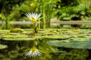 Bottanuco: oasi verde sulla sponda dell'Adda