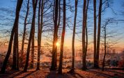  Nuovi preziosi alberi con Legambiente e Parco Nord