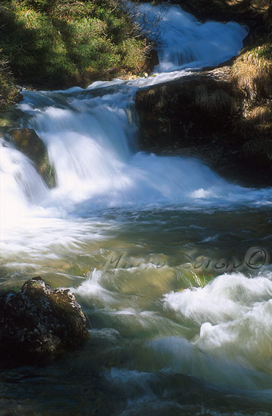 Rapide nei pressi delle Cascate di Vallesinella