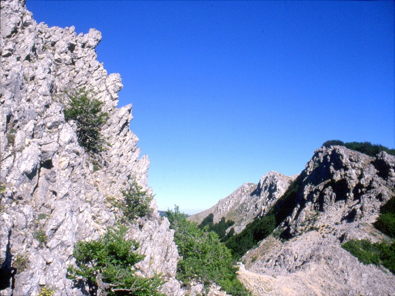 Catena montuosa della Quacella - zona A riserva integrale