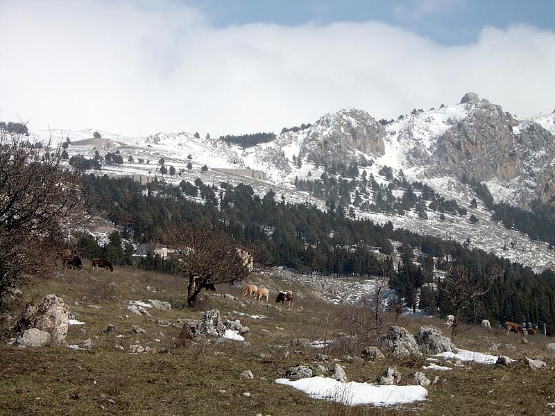 Pascolo e Sacro Monte di Viggiano