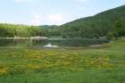 Lago Calamone