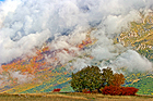 Wolken bedecken die Herbstwälder 