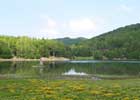 Lago Calamone