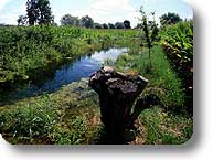 Un canale tra i campi a Carmagnola