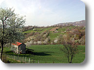 Paesaggio agricolo