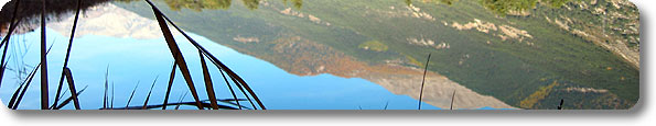 Immagine di apertura Riserva Naturale Speciale di interesse provinciale dello Stagno di Oulx