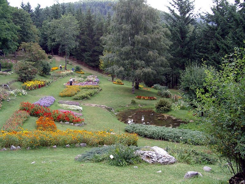 Il giardino di montagna