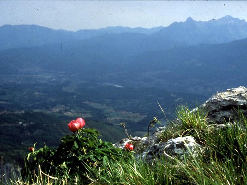 Panoramaaufnahme Pania di Corfino