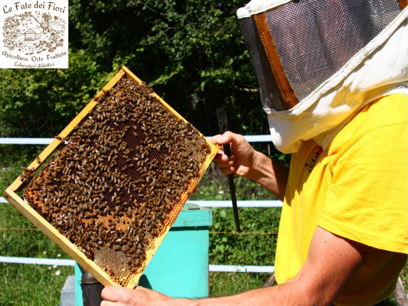 An afternoon with the beekeeper
