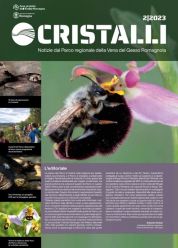 Online il nuovo numero della rivista 'Cristalli' 2/2023