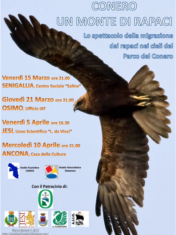L'Ente Parco Naturale Regionale del Monte Conero organizza una serie di eventi con tema la migrazione dei rapaci