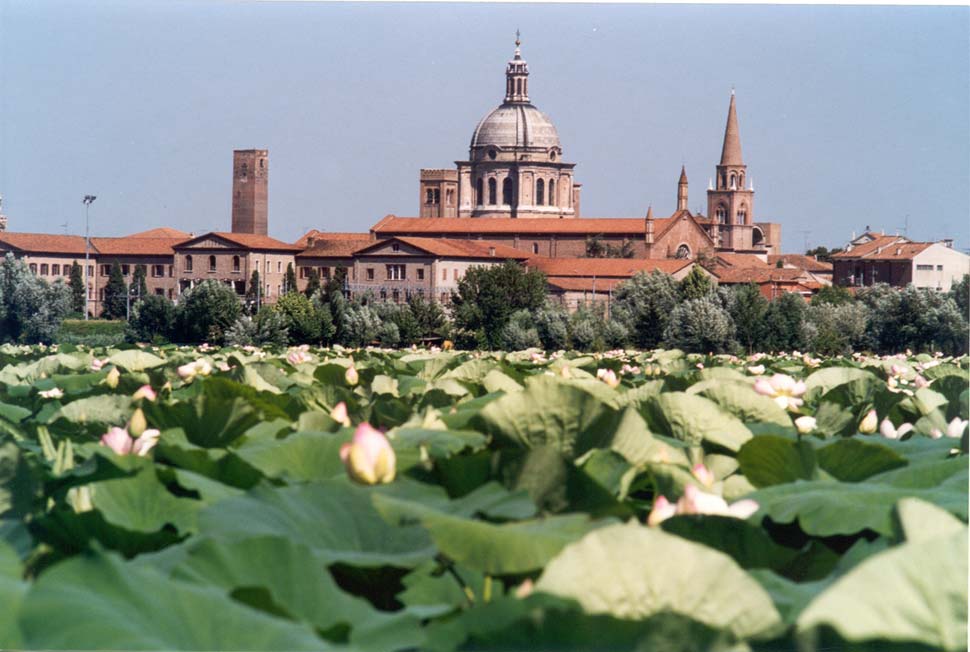 I Volti della Natura in Città: escursioni gratuite a Mantova e dintorni