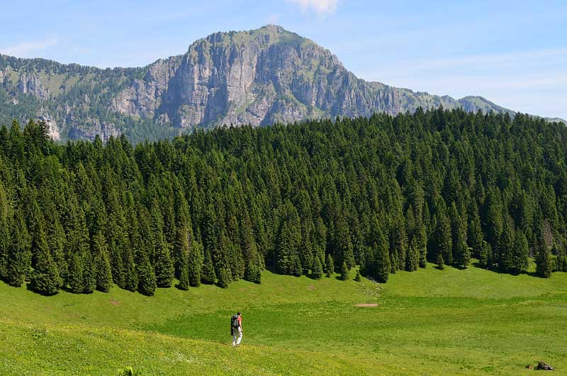 Il Parco Nazionale Dolomiti Bellunesi riceve il certificato di eccellenza TripAdvisor 2016