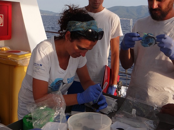 Progetto Plastic Busters MPAs al lavoro nell’Arcipelago Toscano