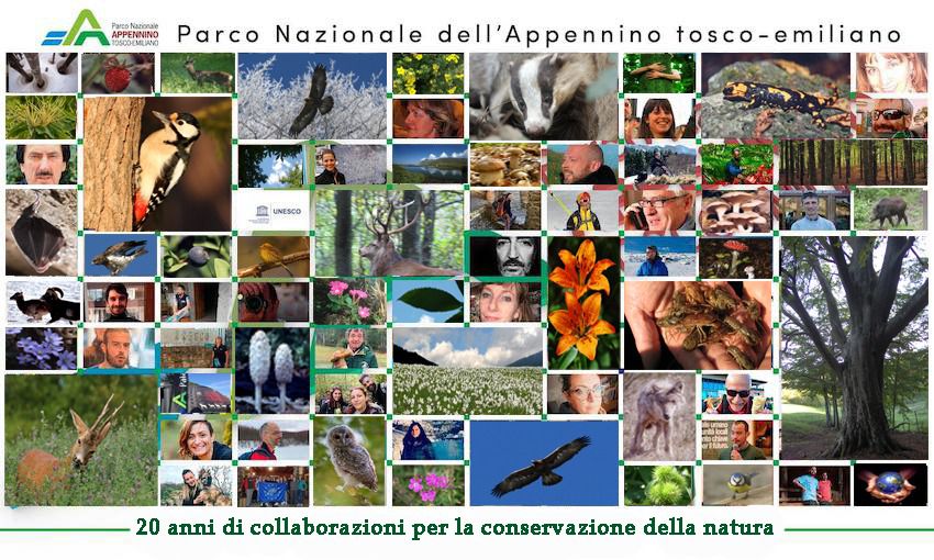Collaborare insieme per la conservazione della natura: mercoledì 16 testimonianze per i primi 20 anni del Parco nazionale dell’Appennino