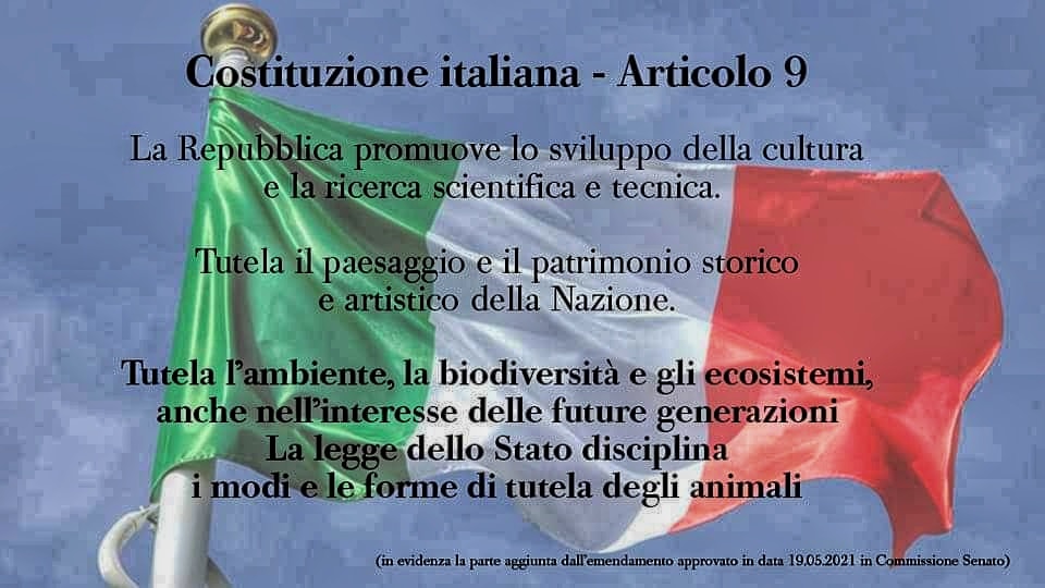 L’articolo 9 della Costituzione italiana introduce la salvaguardia di ambiente, ecosistema e biodiversità tra i principi fondamentali.