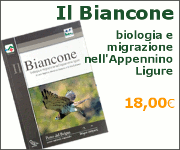 Il Biancone, biologia e migrazione nell'Appennino Ligure