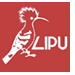 Logo LIPU