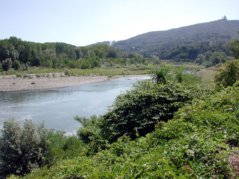 River Po, Isolone di Bertolla and Superga, in Meisino Nature Reserve (Turin)