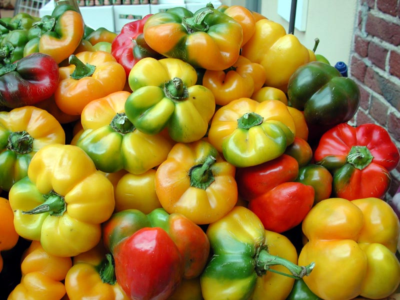 Tumaticot peppers of Carmagnola